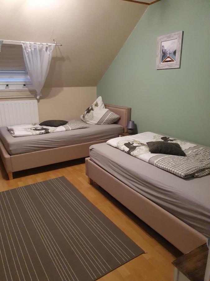 Ferienwohnung Am Siegelbaechle Mit E-Bikes Vermietung Gutach im Breisgau Dış mekan fotoğraf
