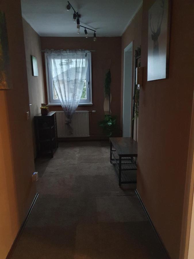 Ferienwohnung Am Siegelbaechle Mit E-Bikes Vermietung Gutach im Breisgau Dış mekan fotoğraf