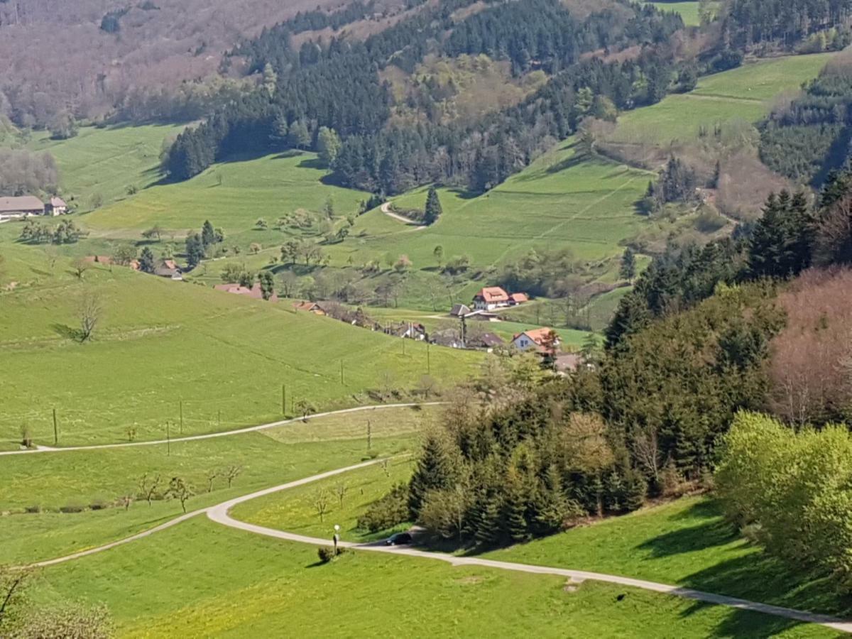 Ferienwohnung Am Siegelbaechle Mit E-Bikes Vermietung Gutach im Breisgau Dış mekan fotoğraf